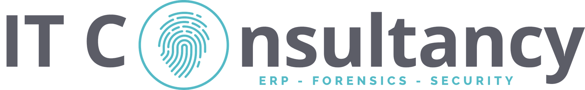 IT Consultancy